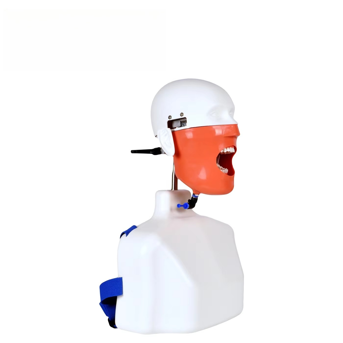Medical Lab Science - Lab Educational Chair-Mounted Dental Simulator Manikin